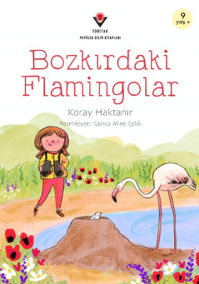Bozkırdaki Flamingolar - 1