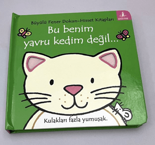 Bu Benim Yavru Kedim Değil… - 1