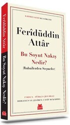 Bu Soyut Nakış Nedir? - Kırmızı Kedi Yayınevi