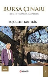 Bursa Çınarı - Bengü Yayınları
