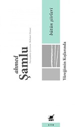 Bütün Şiirleri - Yüreğimin Kışlarında - Ayrıntı Yayınları