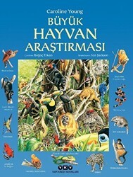 Büyük Hayvan Araştırması - Yapı Kredi Yayınları