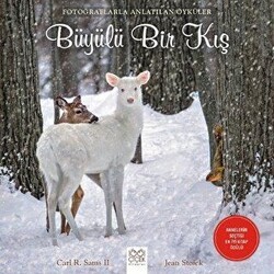 Büyülü Bir Kış - 1001 Çiçek Kitaplar