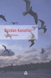 Buzdan Kanatlar - Alan Yayıncılık