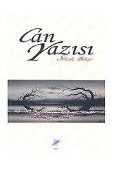 Can Yazısı - Art Basın Yayın Hizmetleri