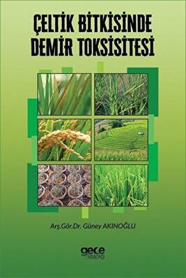 Çeltik Bitkisinde Demir Toksisitesi - 1