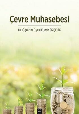 Çevre Muhasebesi - 1