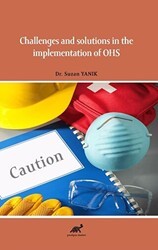 Challenges and Solutions in the Implementation of OHS - Paradigma Akademi Yayınları