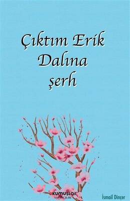 Çıktım Erik Dalına şerh - 1