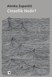 Cinsellik Nedir? - Metis Yayınları