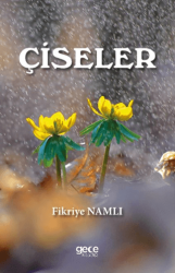 Çiseler - Gece Kitaplığı