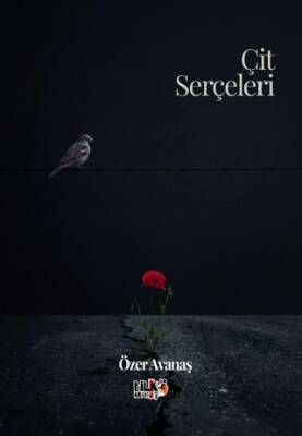 Çit Serçeleri - 1