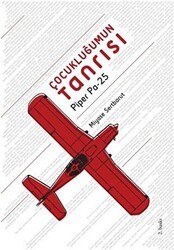 Çocukluğumun Tanrısı Piper Pa-25 - Delidolu