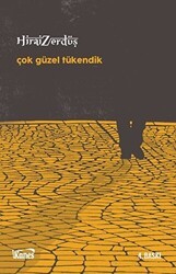 Çok Güzel Tükendik - Kanes Yayınları