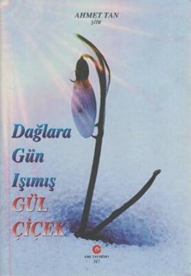 Dağlara Gün Işımış Gül Çiçek - 1