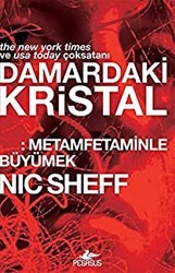 Damardaki Kristal: Metamfetaminle Büyümek - Pegasus Yayınları