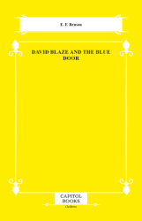 David Blaze and the Blue Door - Capitol Books