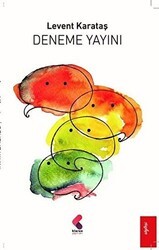 Deneme Yayını - Klaros Yayınları