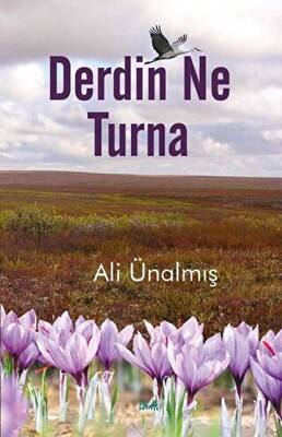 Derdin Ne Turna - 1