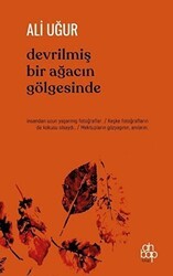 Devrilmiş Bir Ağacın Gölgesinde - Ahbap Kitap