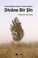 Divane Bir Şin - Aryen Yayınları