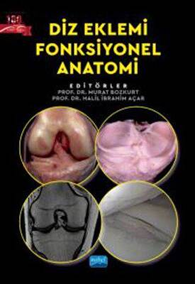 Diz Eklemi Fonksiyonel Anatomi - 1