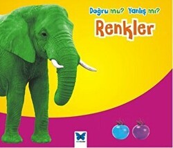Doğru mu? Yanlış mı?: Renkler - Mavi Kelebek Yayınları