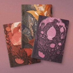 Doku Serisi 3`lü Defter Seti - Yeşilay Yayınları