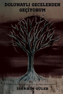 Dolunaylı Gecelerden Geçiyorum - 1