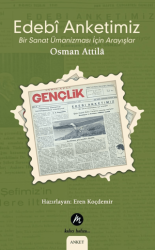 Edebi Anketimiz - Mahfel Yayıncılık