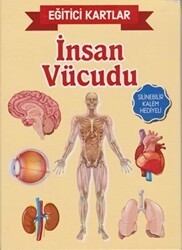 Eğitici Kartlar - İnsan Vücüdu - Teleskop Popüler Bilim