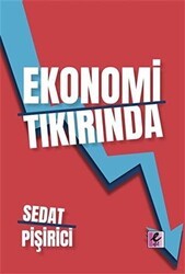 Ekonomi Tıkırında - Efil Yayınevi