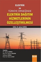 Elektrik Dağıtım Hizmetlerinin Özelleştirilmesi - Detay Yayıncılık