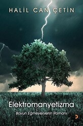 Elektromanyetizma - Cinius Yayınları