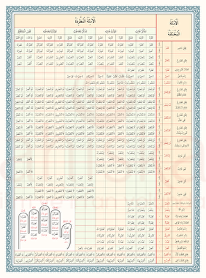 Emsile Bina Şeması Renkli - 1