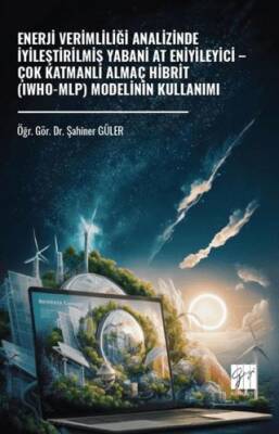 Enerji Verimliliği Analizinde İyileştirilmiş Yabani At Eniyileyici – Çok Katmanlı Almaç Hibrit Iwho-Mlp Modelinin Kullanımı - 1