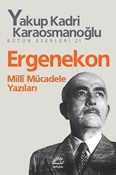 Ergenekon - İletişim Yayınevi