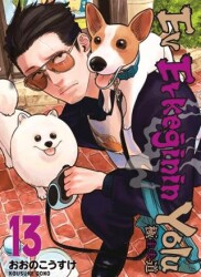 Ev Erkeğinin Yolu 13. Cilt - Gerekli Şeyler Yayıncılık