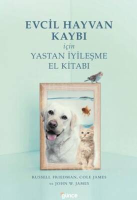 Evcil Hayvan Kaybı İçin Yastan İyileşme - 1