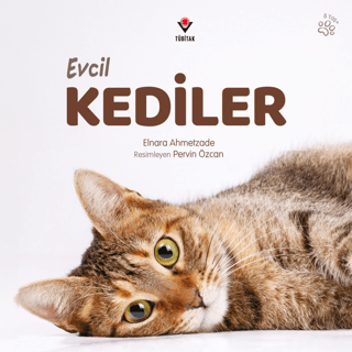 Evcil Kediler - 1