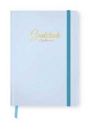 Fabooks Mavi Şükür Günlüğü - 1