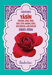 Faziletleriyle Yasin-i Şerif Hafız Boy - Şadırvan Yayınları