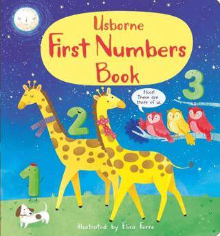 First Numbers Book - 1