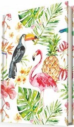 Flamingo Tucan - Deffter