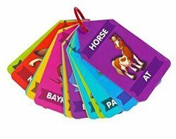 Flash Kartlar Hayvanlar - Laço Kids