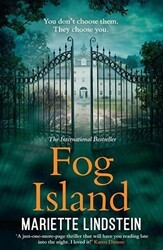 Fog Island - Nüans Publishing