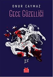 Gece Güzelliği - 1