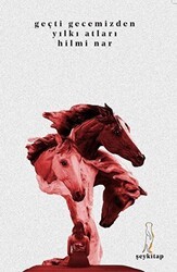 Geçti Gecemizden Yılkı Atları - Şey Kitap