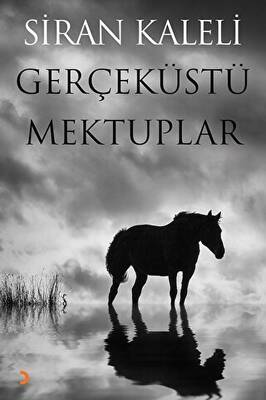 Gerçeküstü Mektuplar - 1