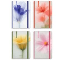 Gıpta 139-RPK Prıma 13x21 Günlük Ajanda 2026 - Gıpta